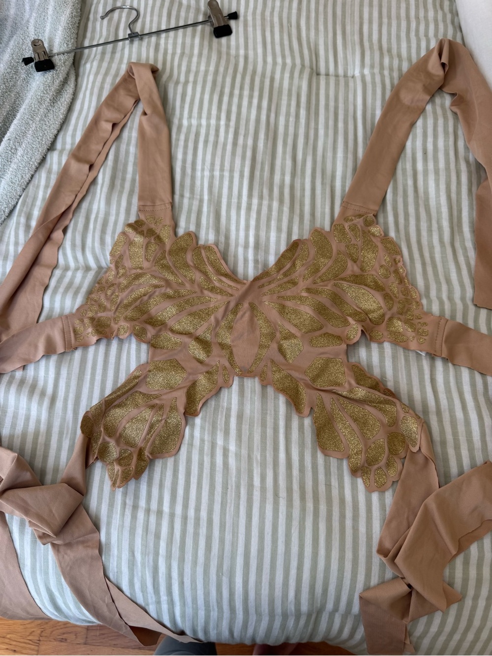 Amazon Women's Blush Pink Crop Top with Gold Lace Appliqué